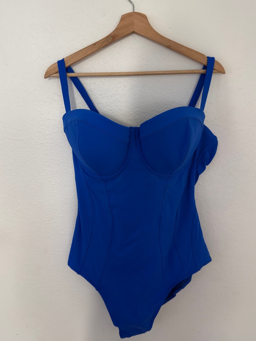 NWT TA3 Pushy D/DD Sapphire Corset One Piece